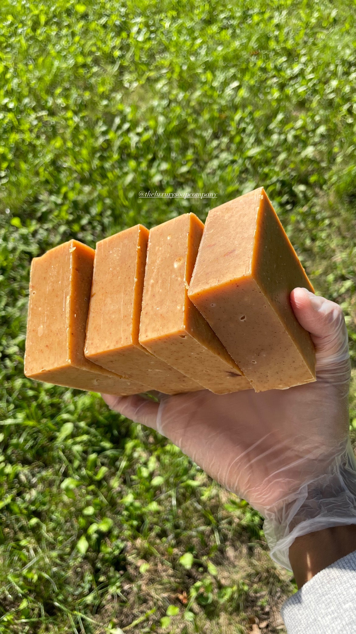 Ginger, Turmeric and Honey Soap