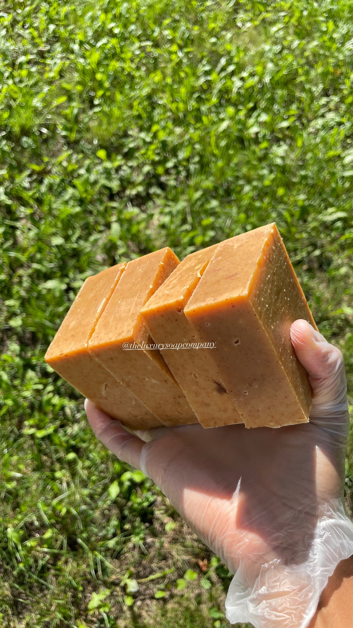 Ginger, Turmeric and Honey Soap